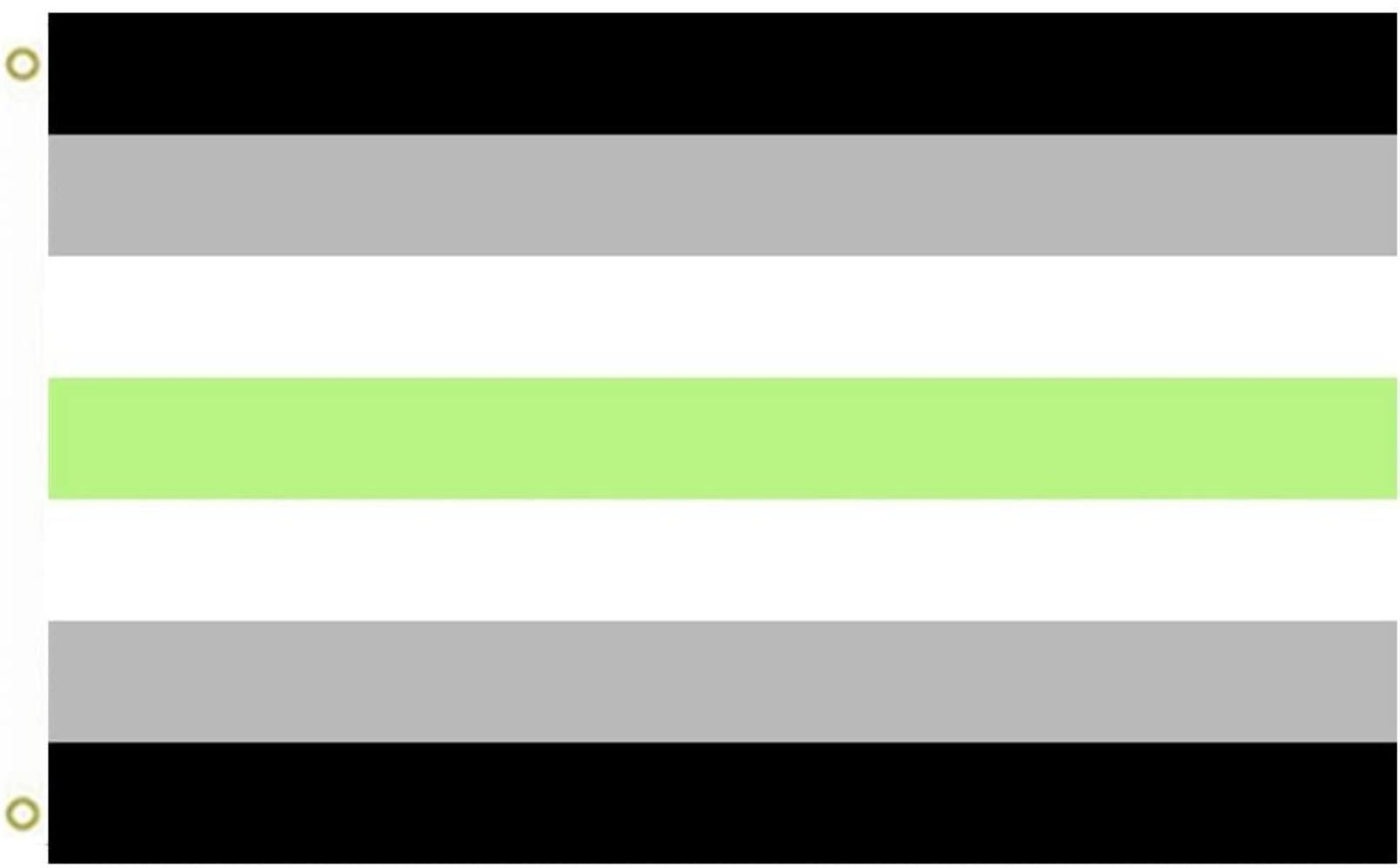 Large Flag Agender Pride Agender People Flag Outdoor Flag Flying Flag 3x5ft Banner Material 100 Polyester By Brand The Flag Factory Walmart Com