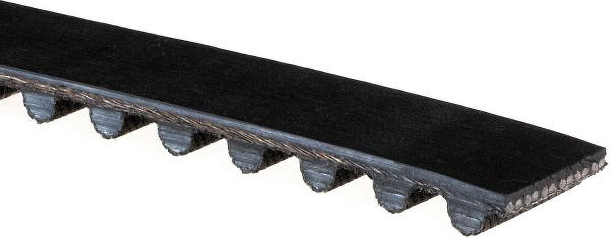 Timing Belt (PARITY)