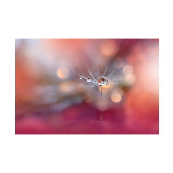 Trademark Fine Art Juliana Nan Colors of Love Canvas Wall Art