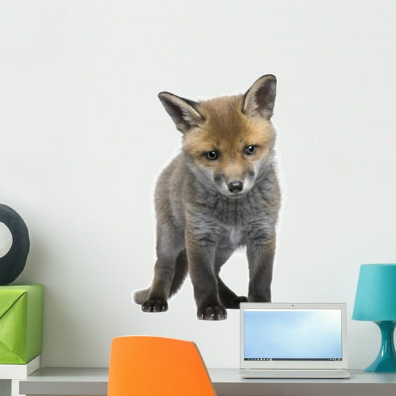 Red Fox Cub 6 Wall Decal by Wallmonkeys Peel and Stick Graphic (24 in H x 18 in W) WM73676
