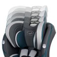 thumbnail image 3 of Evenflo EveryFit 4-In-1 Car Seat, 3 of 9