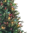 thumbnail image 3 of Kurt Adler 7-Foot Pre-Lit Multi-Color Incandescent Jackson Pine Tree, 3 of 4