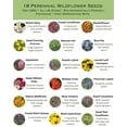 Paper Street Perennials DHF10 All Perennial Wildflower Seed Mix 1/4lb