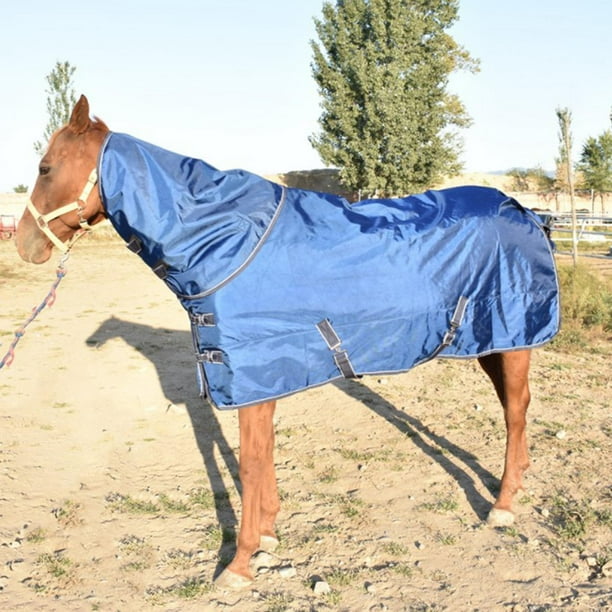 Hoja de Participación de Caballos para proteger Ecuestre Alfombra a Prueba de Nieve Calentador de Moscas Bloque 145cm, El 140cm el 145cm Baoblaze Manta de participación de caballos