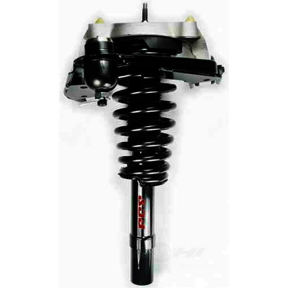 Suspension Strut and Coil Spring Assembly