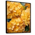 thumbnail image 2 of Designart "Golden Radiance Yellow Hydrangea" Floral Floater Framed Canvas Wall Art, 2 of 7