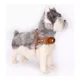 thumbnail image 5 of Pechera Con Correa Cuero Para Airtag Mascotas Premium, 5 of 7