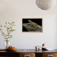 thumbnail image 4 of Uromastyx Ornata Ornate Mastigure, Ornate Dabb Lizard, Framed Art Print Wall Art by Paul Starosta Sold by ArtCom, 4 of 6