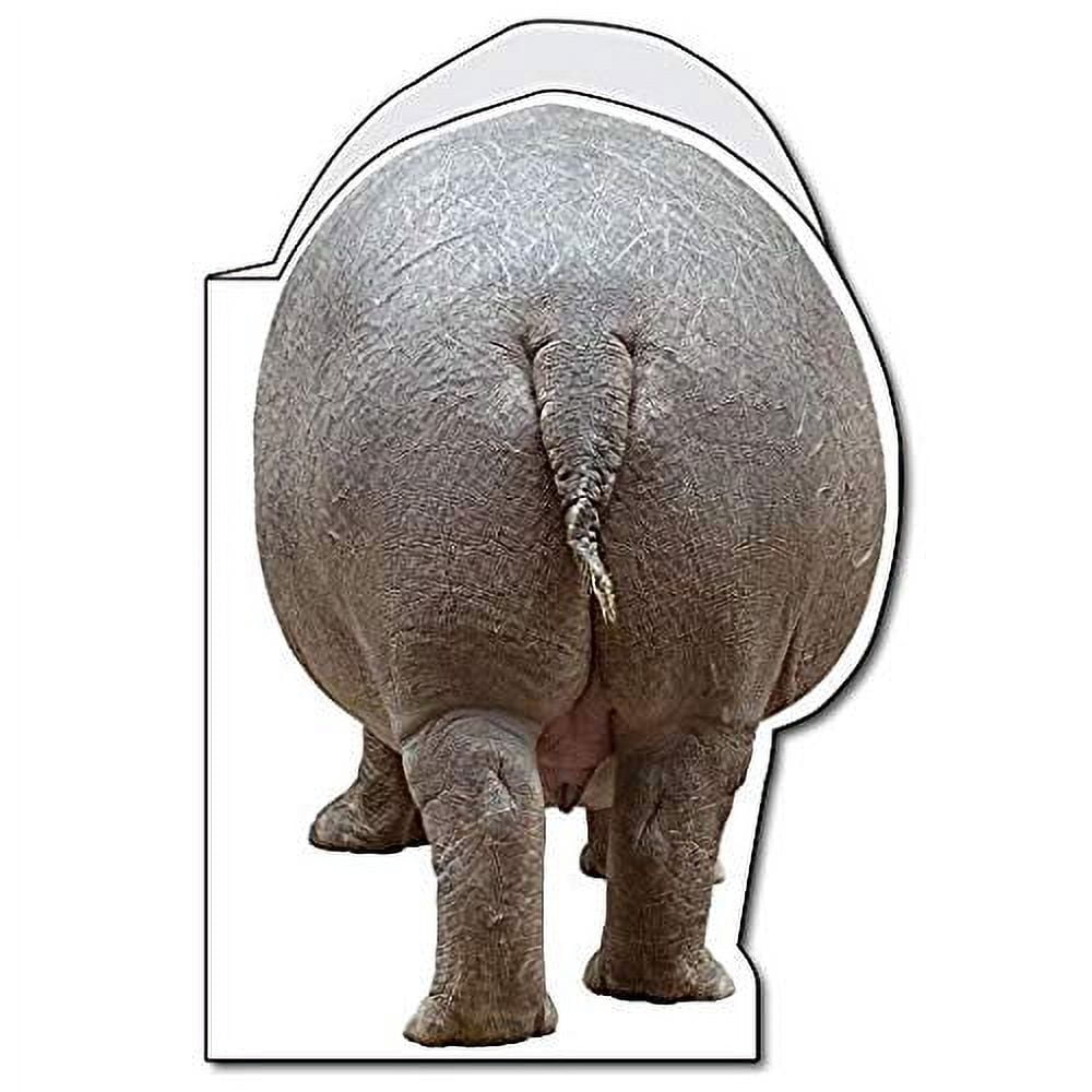 VictoryStore Jumbo Greeting Cards:Giant Birthday Card (Hippo), 2 feet x 3 feet Card with Envelope 12409