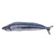 thumbnail image 2 of Plush Pillows Fish Throw Pillow Fish Stuffed Toy Fish Plush Pillow Stuffed Fish Pillow, 2 of 2