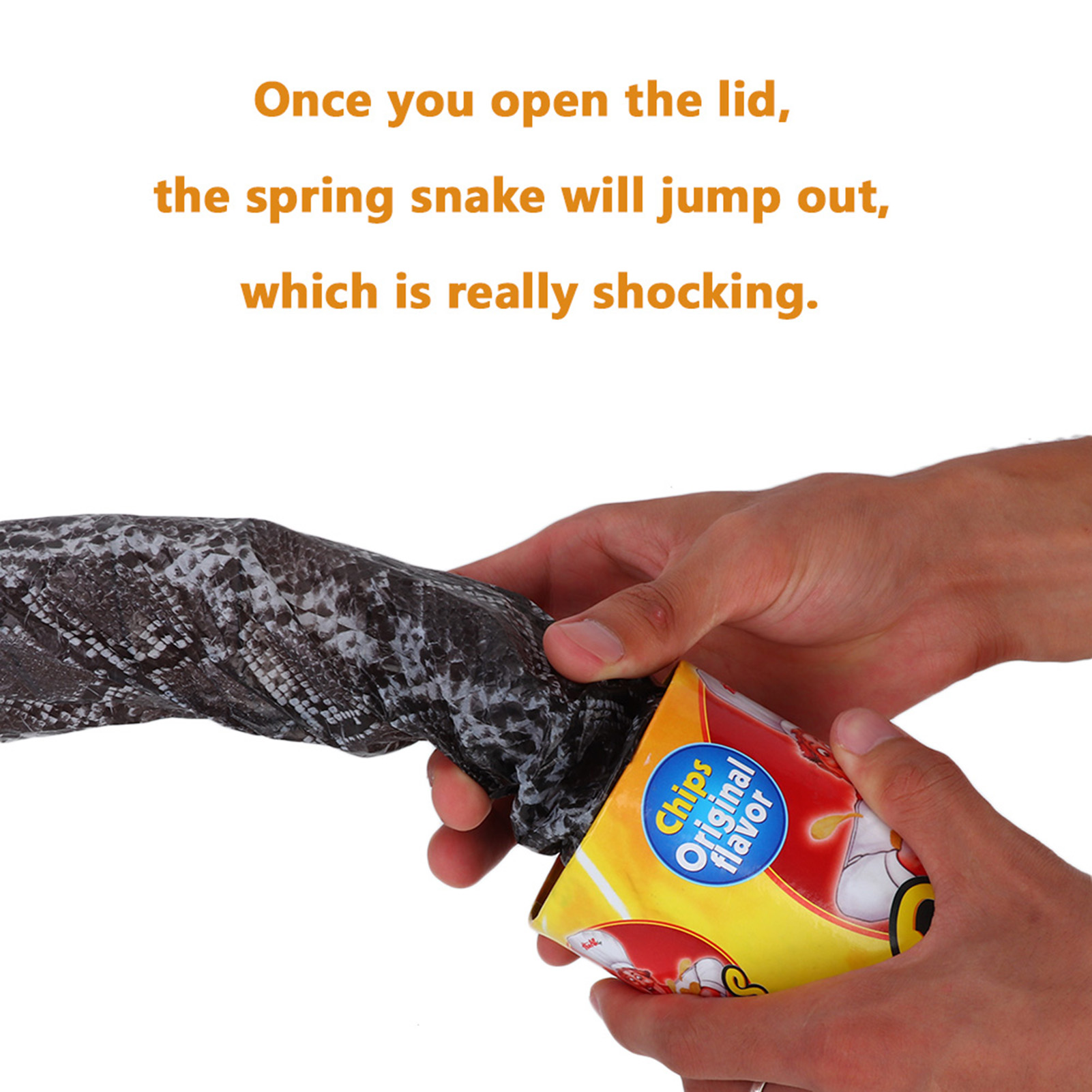 VANVENE Potato Chip Snake In A Can Gag Gift Prank Large Size for April  Fools' Day and Halloween : Buy Online at Best Price in KSA - Souq is now  : Toys