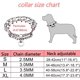 thumbnail image 4 of Collar de punta para perro, collar de estrangulamiento para perros, collar de entrenamiento, collar de estrangulamiento ajustable desmontable con puntas de goma cómodas, metal ajustable para perro me, 4 of 5