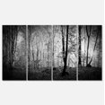 thumbnail image 2 of Magnifique Panorama de Matinée en Forêt - Impression sur Toile d'Art Paysager, 2 of 3