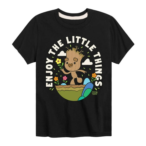 Marvel Guardians of the Galaxy - Enjoy The Little Things - Toddler And Youth Short Sleeve Graphic T-Shirt