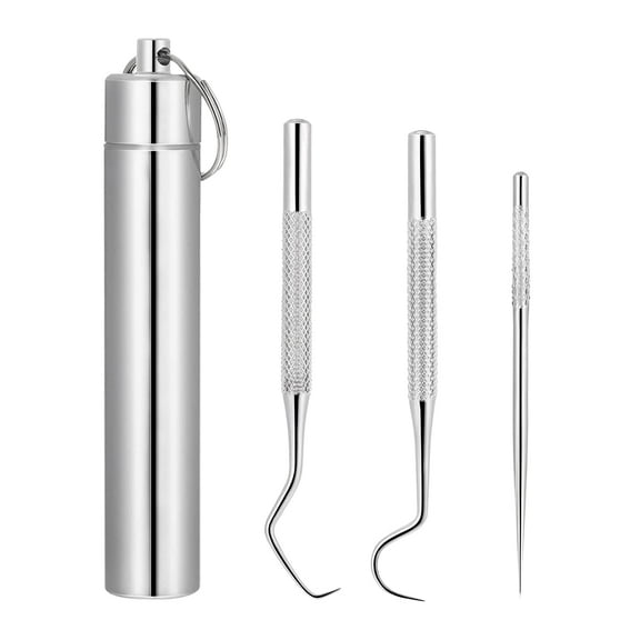 Floss Toothpicks Portable Stainless Steel Toothpicks Pocket Set Reusable Metal Toothpicks Pocket Keychain Reusable Floss Tooth Picks Stainless Steel Set