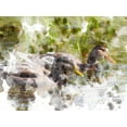 thumbnail image 2 of Young, Chamira 32x25 Black Ornate Wood Framed with Double Matting Museum Art Print Titled - Ducks in Float II, 2 of 4