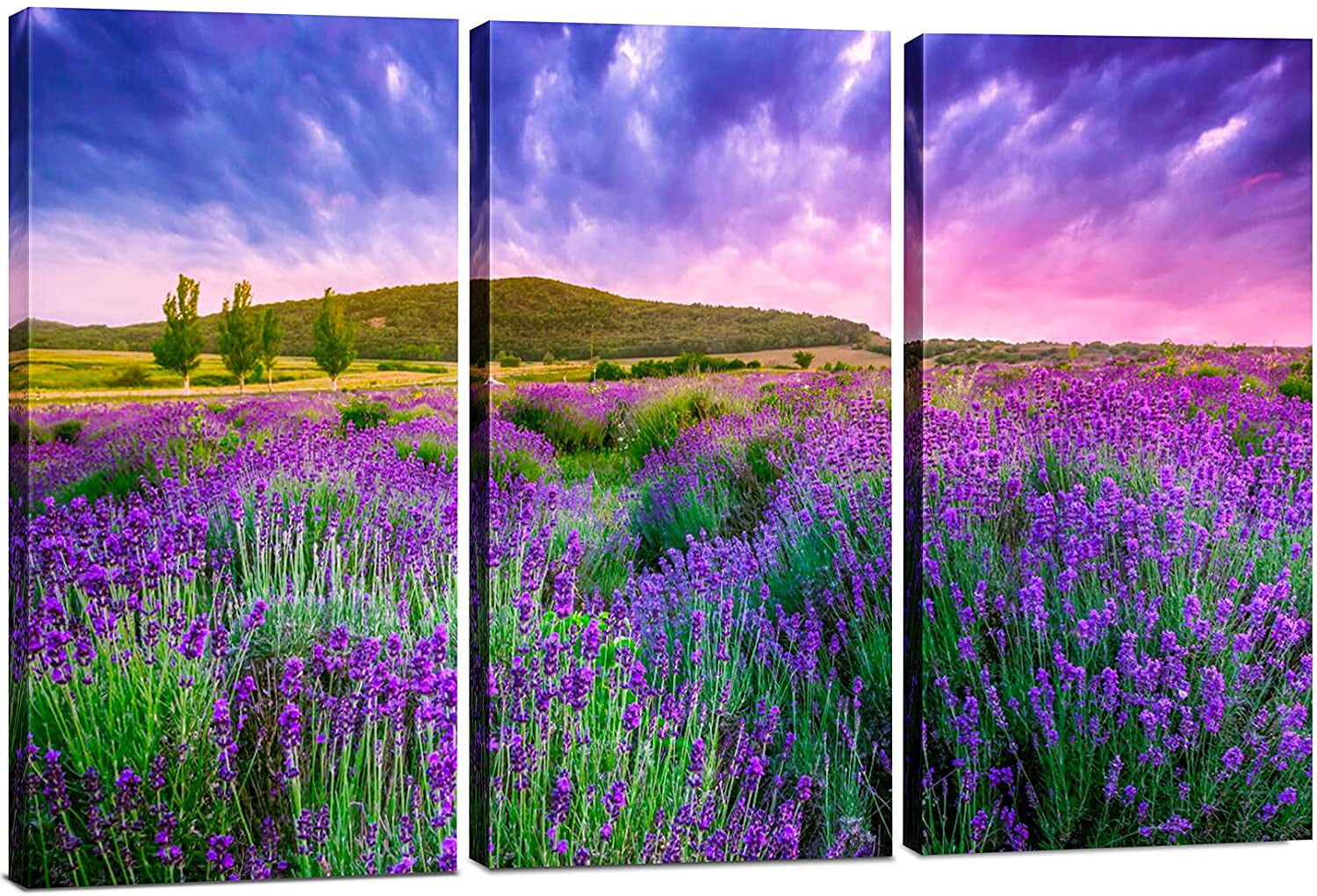 Canvas Wall Art Decor 12x24 3 Piece Set (Total 24x36 inch) Purple Flower Field Decorative