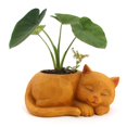 thumbnail image 4 of Resina nórdica chica cabeza escultura Cactus florero maceta contenedor Decoración, 4 of 9