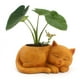 thumbnail image 4 of de Plantas Suculentas de Resina, de Gato de Escritorio, Contenedor de Jarrón, 4 of 9