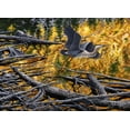 thumbnail image 2 of Tift, Jeff 32x24 Black Ornate Wood Framed with Double Matting Museum Art Print Titled - Heron, 2 of 4