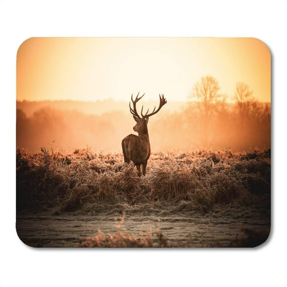 NUDECOR Purple Forest Red Deer in Morning Sun Orange Mousepad Mouse Pad Mouse Mat 9x10 inch