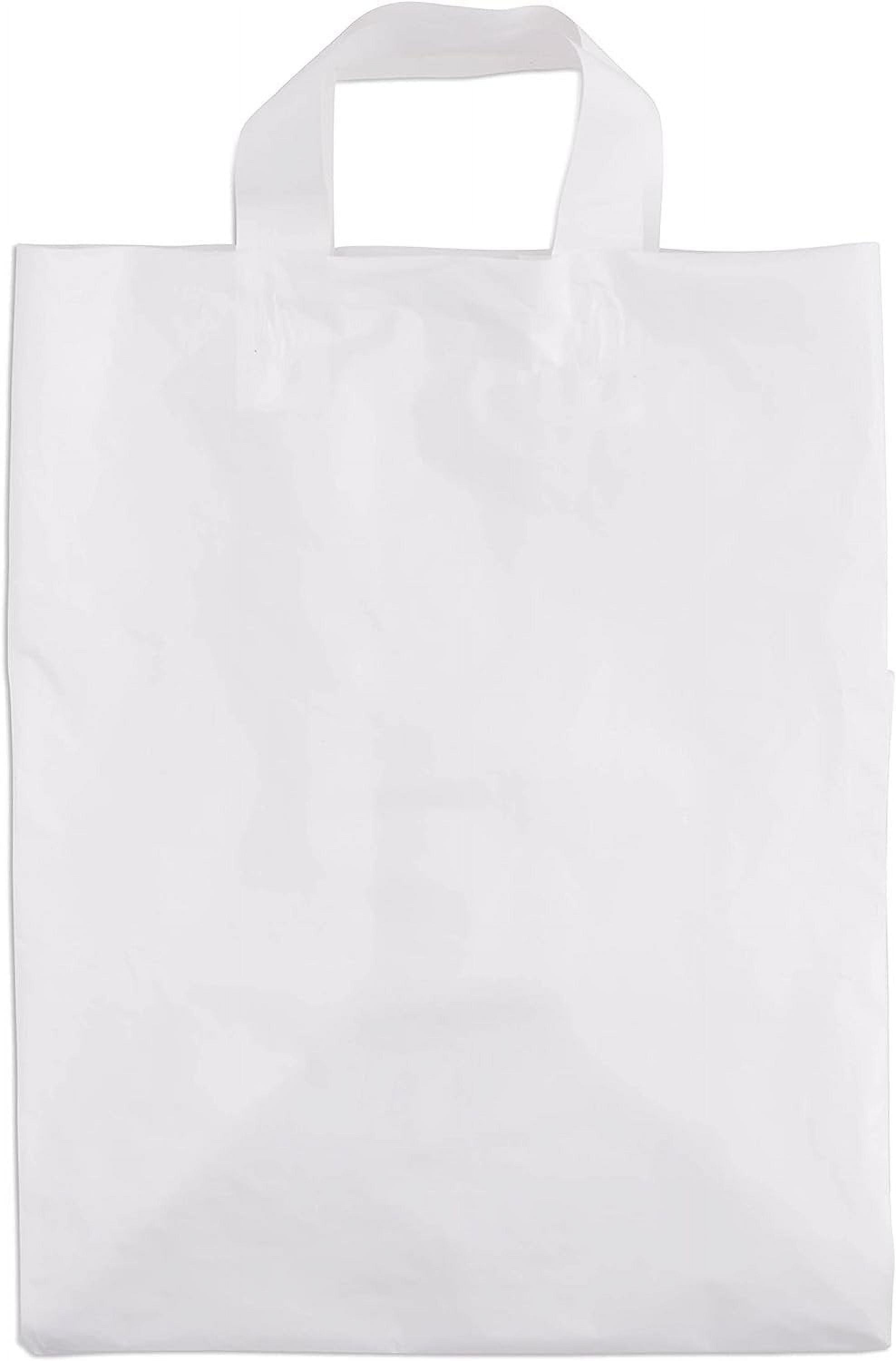 Plastic Bags with Handles - Frosted Mint – Prime Line Retail