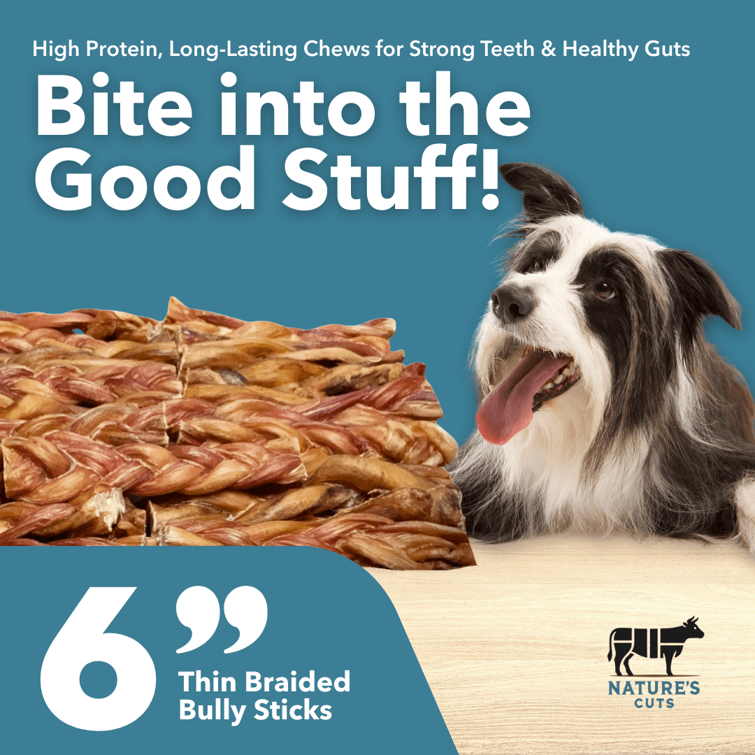 6" Braided Thin Bully Sticks