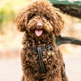 thumbnail image 2 of 1 Set Copper Collar Bells for Cat and Dog with Round Shape Safety Protection, 2 of 8