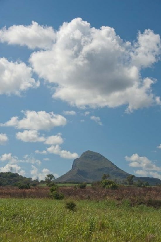 Sugar Cane Fields Mauritius Canvas Art - Cindy Miller Hopkins DanitaDelimont (24 x 36)