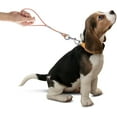 thumbnail image 4 of Short Dog Leash - Heavy Duty-12”/24”Short Chew Proof Dog Lead for Training Control- Training Pet Leashes for Teething Puppies Small Medium and Large Dogs, 4 of 5