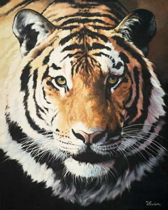 Tiger Canvas Art - Vivien Rhyan ()