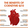 thumbnail image 4 of BBEEAAUU COQ10 Gummies Supplement, Ultra High Absorption CoQ10 500mg, Support Heart Health, Gluten Free (60 Veg Gummies), 4 of 8