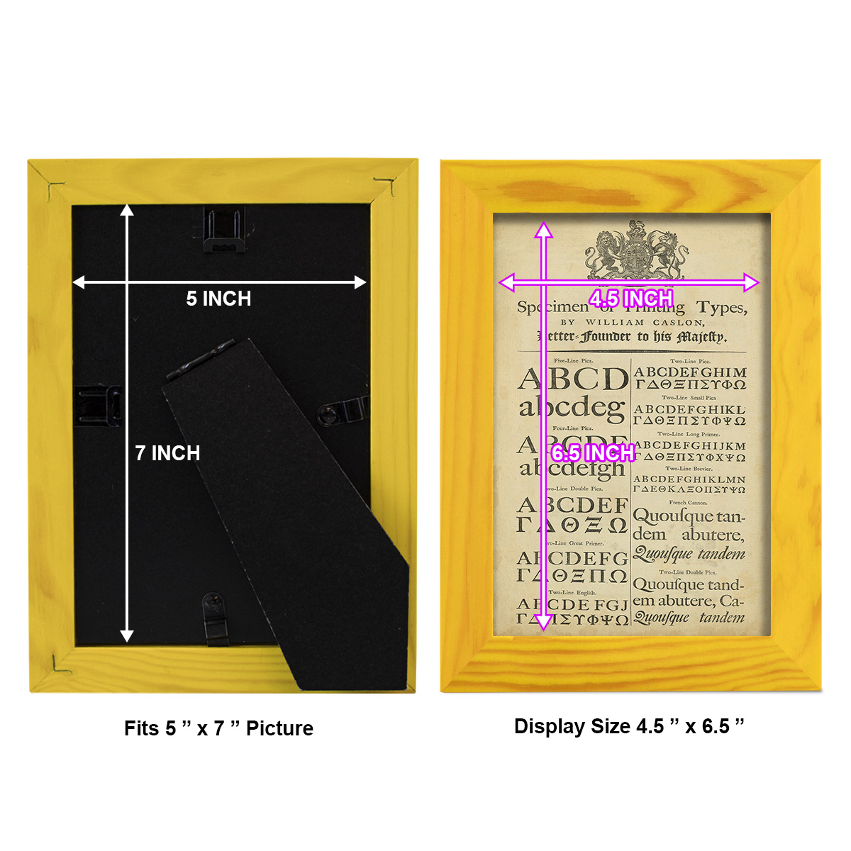 Encyclopediae VI -Framed Print w/glass-Sunflower Yellow