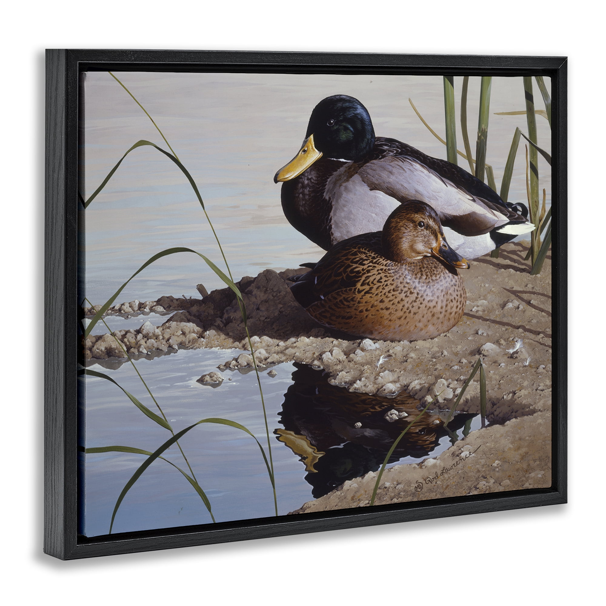 Stupell Industries Two Ducks Water's Edge Animals Painting Black Floater Framed Canvas Art Print Wall Art, 31 x 25