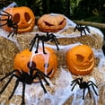 thumbnail image 7 of Ayieyill 5 Pcs Giant Spider Halloween Decorations Outdoor, Scary Hairy Spiders for Halloween Yard Decorations, Haunted House Props, 7 of 7