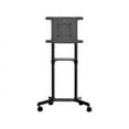 thumbnail image 2 of StarTech Mobile Portable Rolling TV Stand for 37-70in Display MBLTVSTNDEC, 2 of 5
