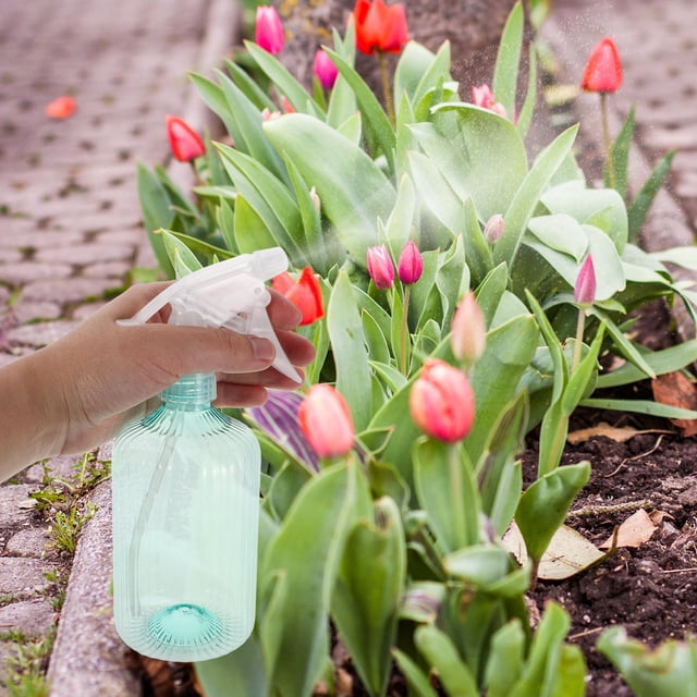 AURARMLET Spray Botella Para Plantas Con Distribución Precisa Y Capacidad Óptima Para Uso En Jardín Interior