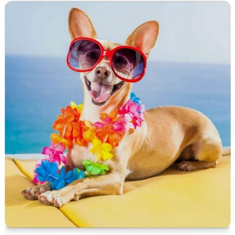 GZHJMY Square Drink Coasters 4 Pcs Chihuahua Dog Relaxing in Summer Vacation Absorbent Ceramic Coffee Coasters for Drinks with Cork Base Housewarming Gift for Home Decor Walmart