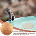 thumbnail image 3 of 2 Pcs Bird Bath Copper Disk 0.8mm Thick Reinforced 99.99% Pure Copper Disc for Bird Bath Cleaner with 4 Point Support for Birdbaths Bowls All Season, 4 Inch in Diameter, 3 of 5