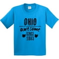 thumbnail image 3 of Inktastic Ohio Awesome Since 1803 Youth T-Shirt, 3 of 5
