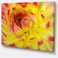 thumbnail image 2 of Pétales de Fleurs Jaunes Rouges Lisses - Impression sur Toile Florale, 2 of 3