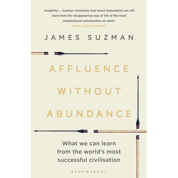 Affluence Without Abundance : What We Can Learn from the World's Most Successful Civilisation (Paperback)