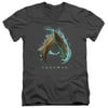 Aquaman Movie Water Shield S/S Adult V-Neck T-Shirt 30/1 T-Shirt Charcoal