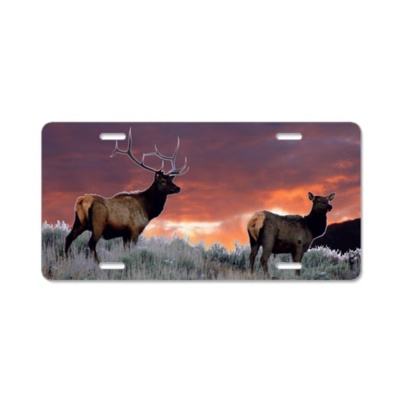 CafePress - Elk Sunset - Aluminum License Plate, Front License Plate, Vanity Tag