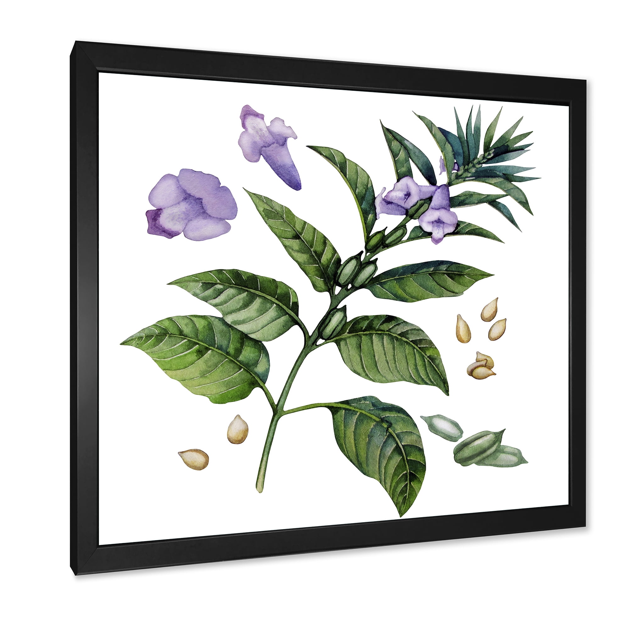 Designart 'Purple Sesame Flowers WIth Green Leaves On White' Traditional Framed Art Print