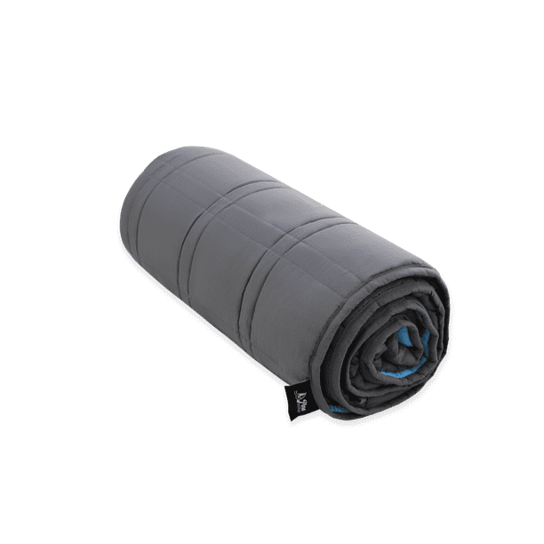 Pine & River Weighted Blanket Ultra Soft Microfiber (60"x80", 20