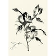thumbnail image 3 of Rae, Nan 11x14 Black Modern Framed Museum Art Print Titled - Ink Wash Floral III - Hibiscus, 3 of 5