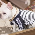 thumbnail image 5 of Cadena de oro Collar de perro Collar de perro lindo collar de oro mascota Bulldog joyería de perro de metal ligero, 5 of 5