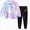Light Purple 0726, variant on Toddler Baby Girls Clothes Long Sleeve Pants Tie-dye Sweatshirt Pants Kids Fall Winter 2Pcs Outfits Set 24 Months 2T 3T 4T 5T 6T 7T 8T Girl Gift Set Dailywear Set Light Purple Size 3-4 Years