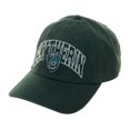 thumbnail image 1 of Harry Potter House Crests Adjustable Snapback Caps (Slytherin), 1 of 2
